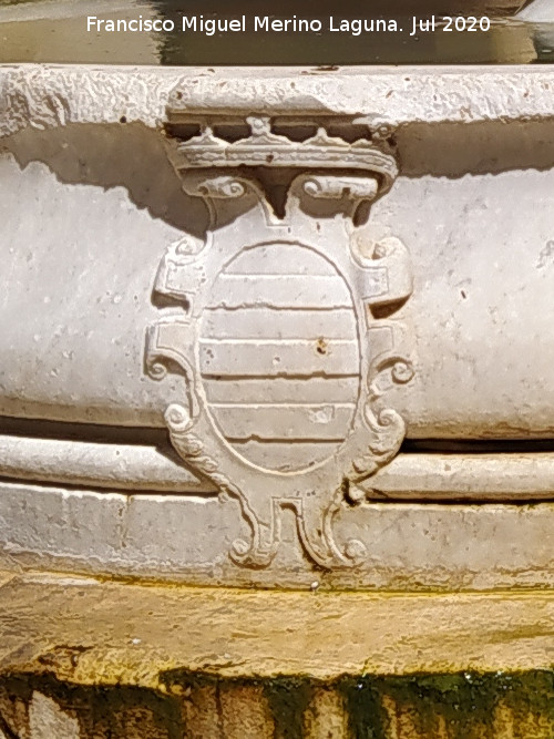 Castillo Palacio de los Ribera - Castillo Palacio de los Ribera. Escudo de la fuente del patio