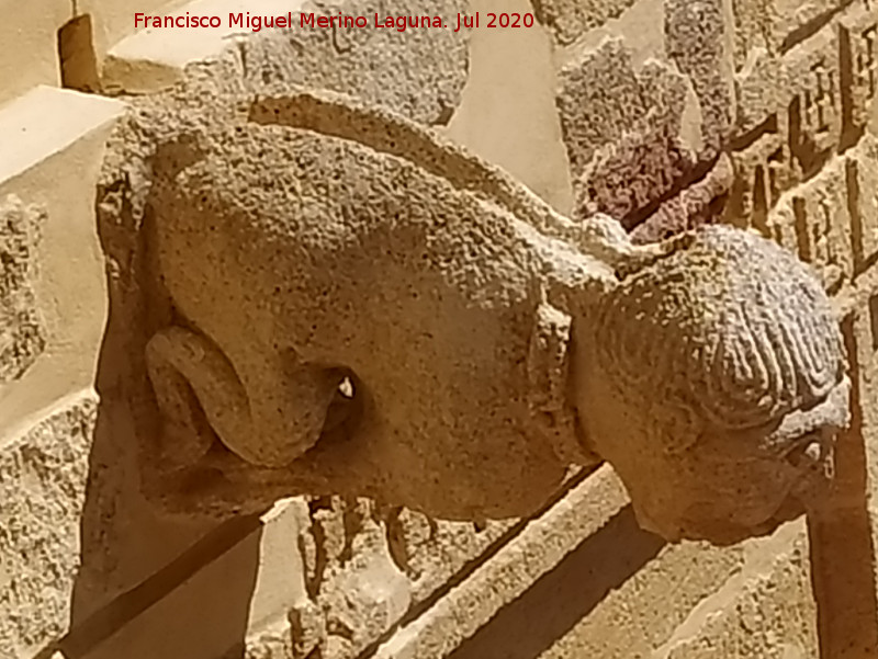 Castillo Palacio de los Ribera - Castillo Palacio de los Ribera. G�rgola