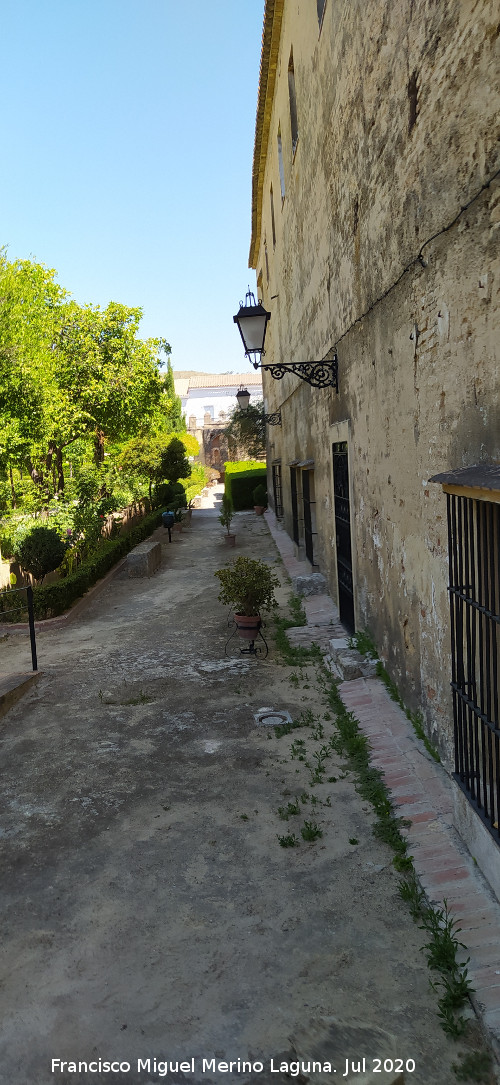 Castillo Palacio de los Ribera - Castillo Palacio de los Ribera. Calle del Jard�n Alto
