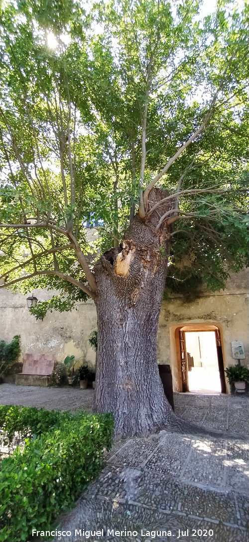 Fresno de Bornos - Fresno de Bornos. 