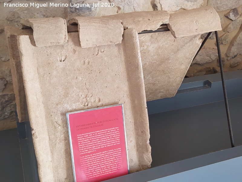 Historia de Olvera - Historia de Olvera. Enterramiento de t�golas romano. Museo La frontera y los castillos