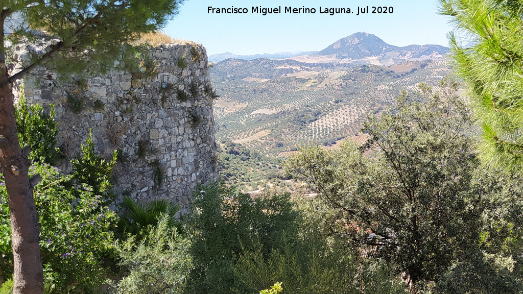 Torre de los Olivillos - Torre de los Olivillos. Vistas
