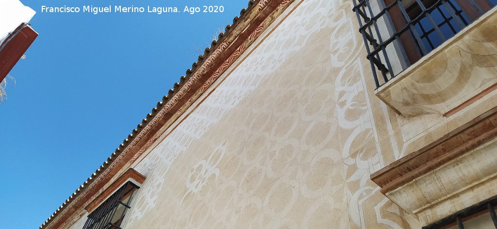 Palacio de los Dom�nguez - Palacio de los Dom�nguez. Decoraci�n
