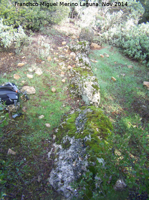 La Camua - La Camua. Alineacin de grandes bloques de piedra