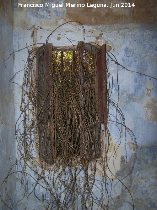 La Colonia - La Colonia. Ventana