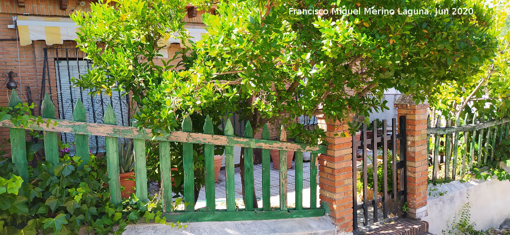 Aldea El Centenillo - Aldea El Centenillo. Casa t�pica