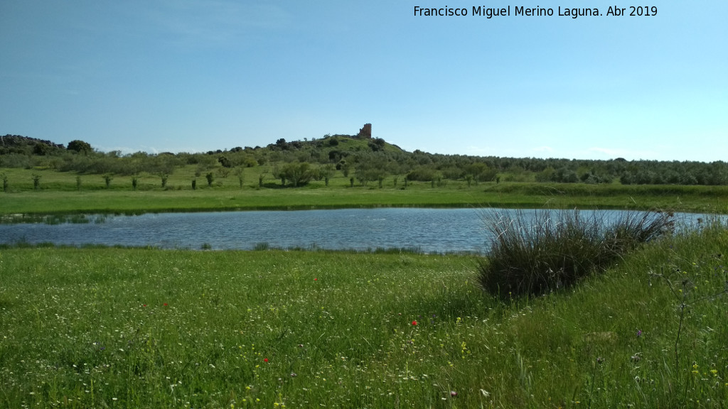 Laguna del Pizorro - Laguna del Pizorro. 