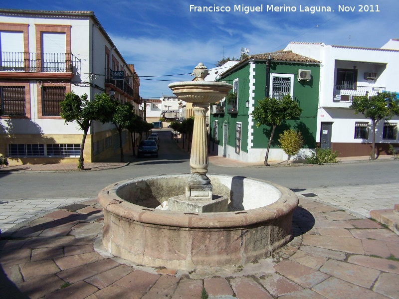 Fuente Taza - Fuente Taza. 