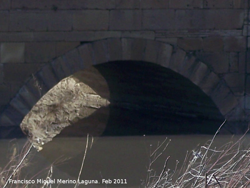 Puente del Salado - Puente del Salado. Ojo del puente