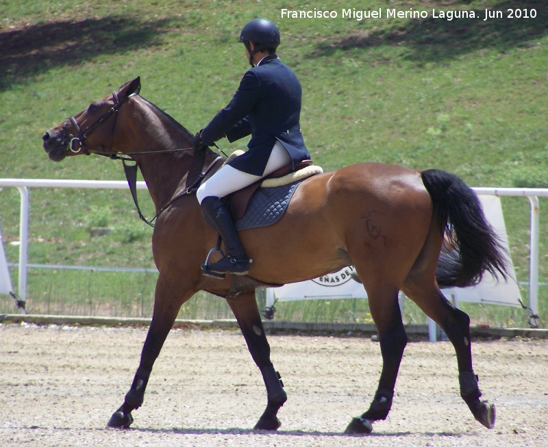 Caballo - Caballo. La Beata - Valdepeas