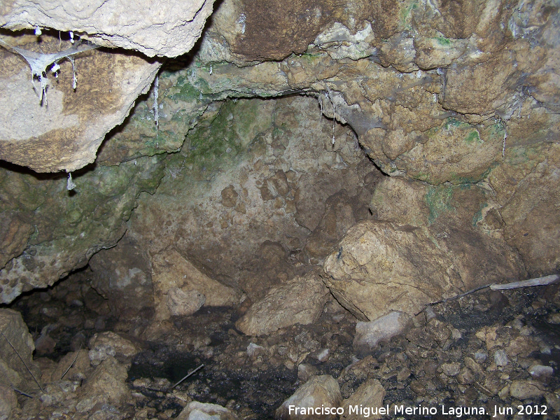 Cueva de Santa Ana - Cueva de Santa Ana. Interior