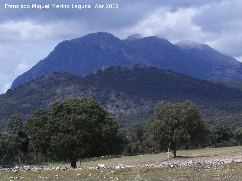 Cerro Cagasebo - Cerro Cagasebo. En primer trmino Matamulillos al fondo Cagasebo