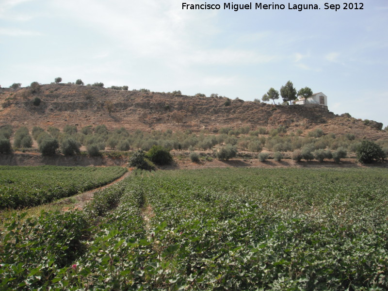 Algodn - Algodn. Cerro Maquiz - Mengbar