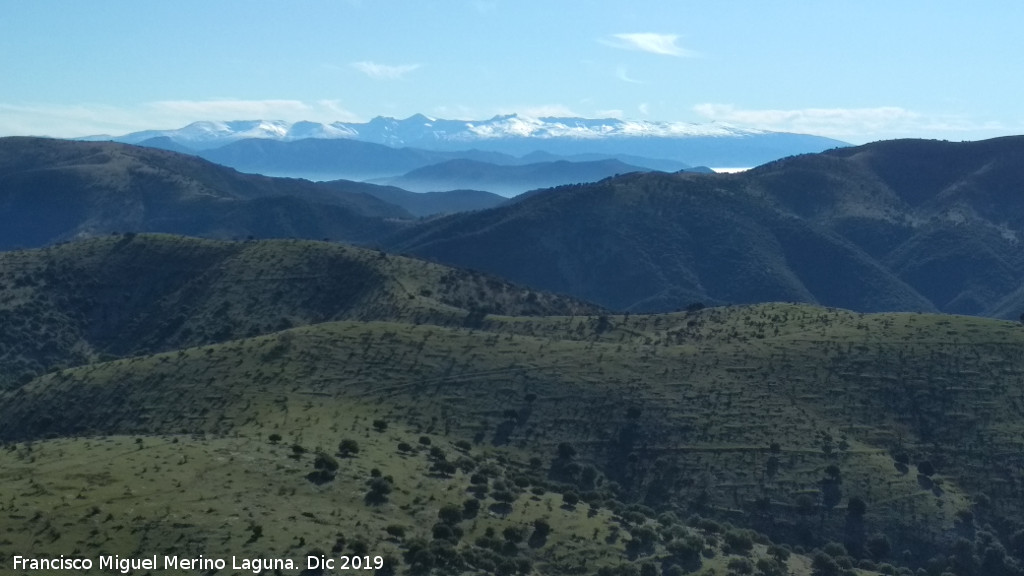 Provincia de Granada - Provincia de Granada. Sierra Nevada desde el Cerro Los Morales - Valdepe�as de Ja�n