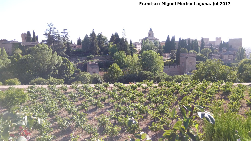 Alhambra - Alhambra. Desde los Jardines del Generalife