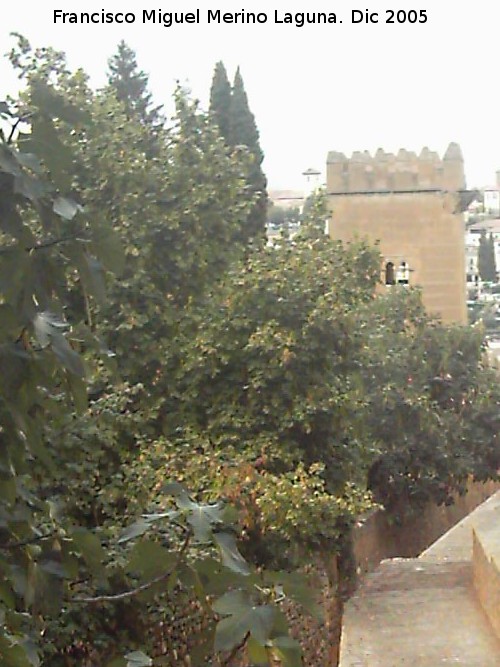 Alhambra. Torre de los Picos - Alhambra. Torre de los Picos. 