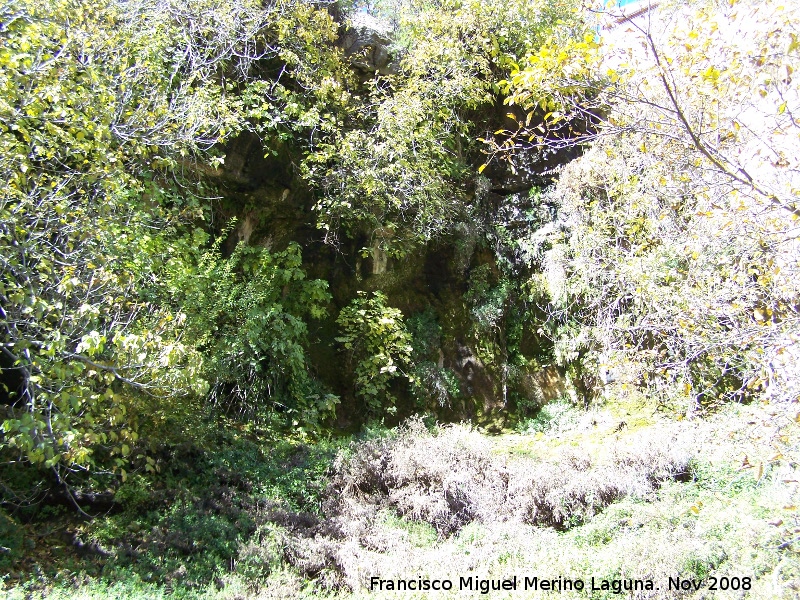 Lavaderos de Fuente de la Teja - Lavaderos de Fuente de la Teja. Fuente de la Teja