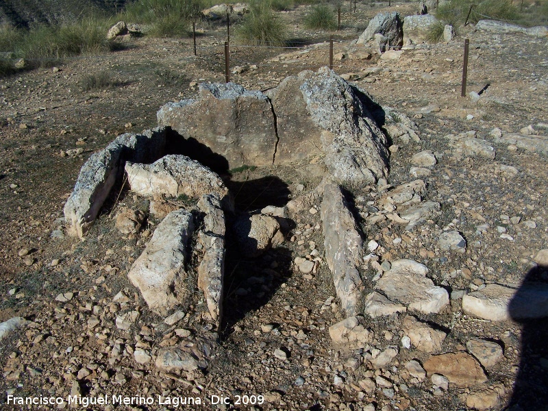 Dolmen 110 - Dolmen 110. 