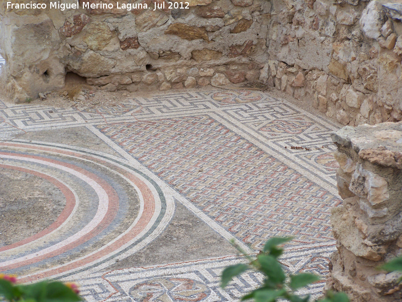 Villa romana del Palmeral - Villa romana del Palmeral. Mosaico