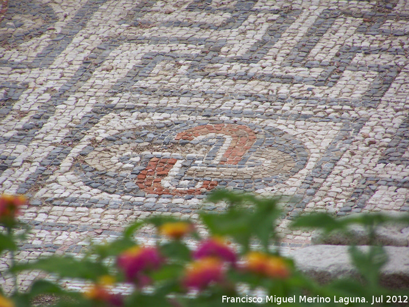 Villa romana del Palmeral - Villa romana del Palmeral. Mosaico