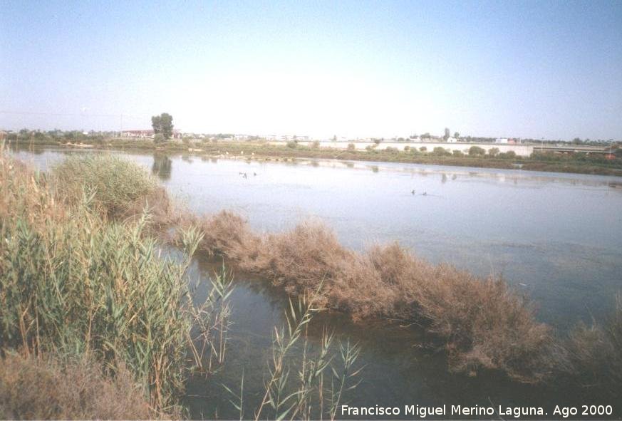 Parque Natural de las Salinas de Santa Pola - Parque Natural de las Salinas de Santa Pola. 