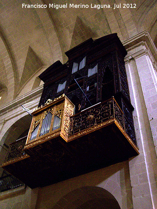 Concatedral de San Nicols de Bari - Concatedral de San Nicols de Bari. rgano