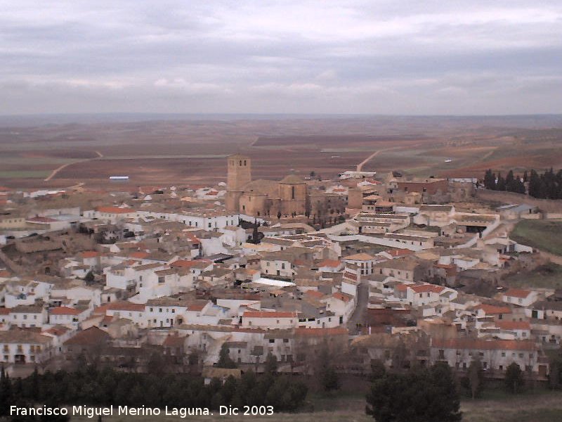 Colegiata de San Bartolom - Colegiata de San Bartolom. Desde el Castillo