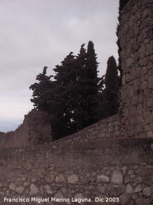 Muralla - Muralla. Continuacin de la muralla desde el Torren del Cementerio