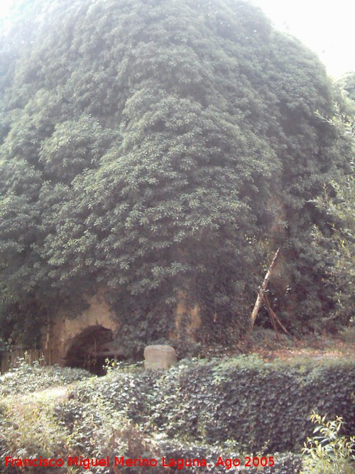 Molino de El Postigo - Molino de El Postigo. 