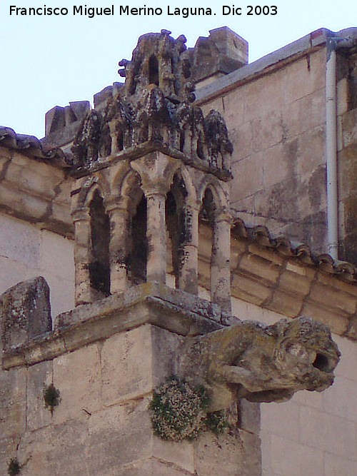 Catedral de Santa Mara y San Julin - Catedral de Santa Mara y San Julin. Grgola