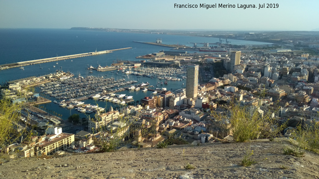 Puerto de Alicante - Puerto de Alicante. Desde el Castillo de Santa Brbara