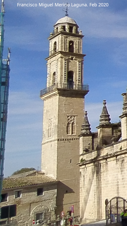 Catedral del Salvador - Catedral del Salvador. Campanario