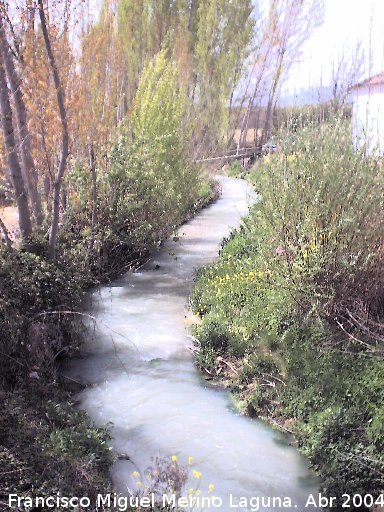 Riberas del Ro Velillos - Riberas del Ro Velillos. A su paso por Ribera Baja