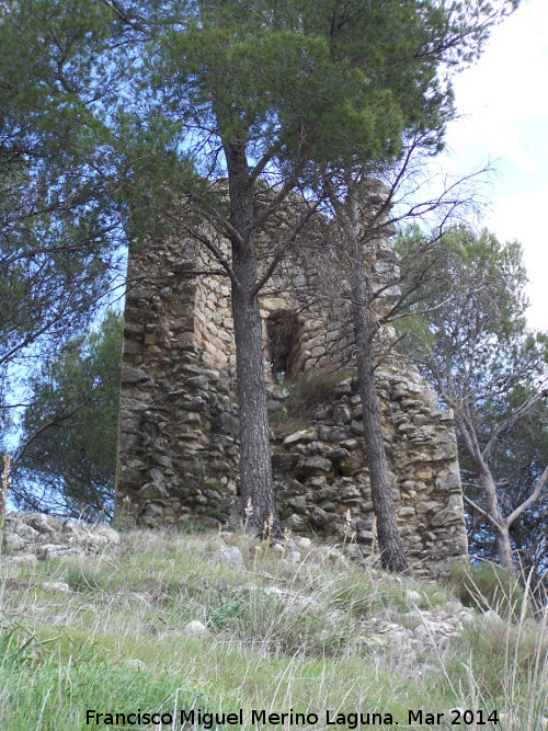 Torren de la Harina - Torren de la Harina. Habitculo