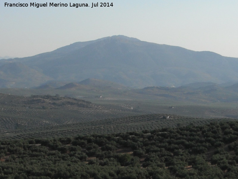 Sierra de Ahillo - Sierra de Ahillo. Desde el Camino Viejo de Martos a Valdepeas