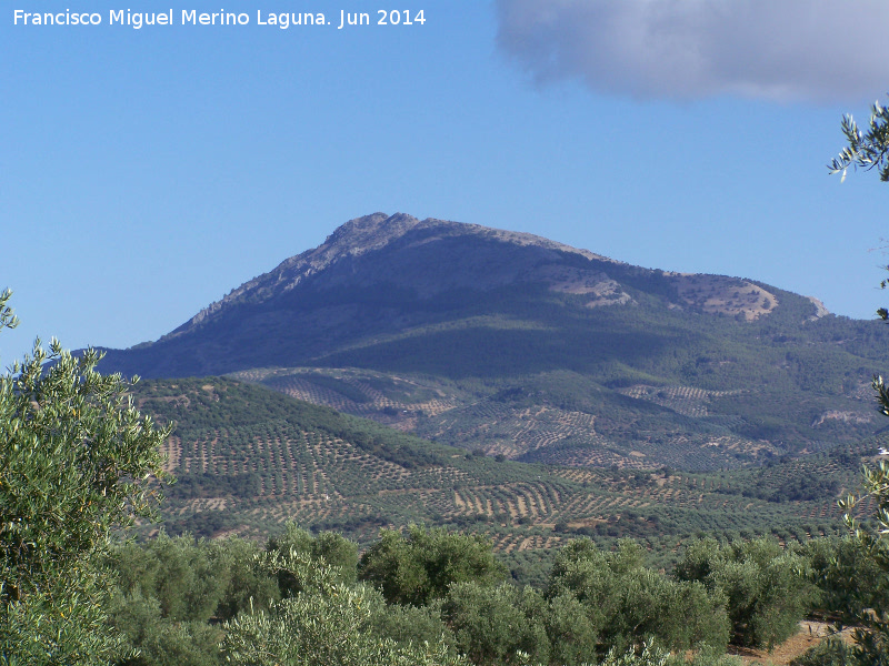 Sierra de Ahillo - Sierra de Ahillo. Desde La Cogolla