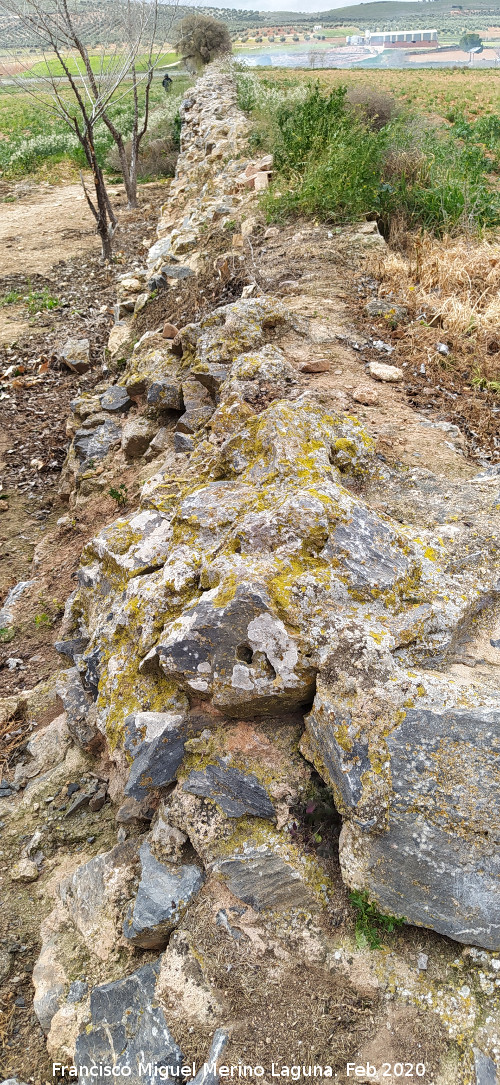 Presa de Consuegra - Presa de Consuegra. 