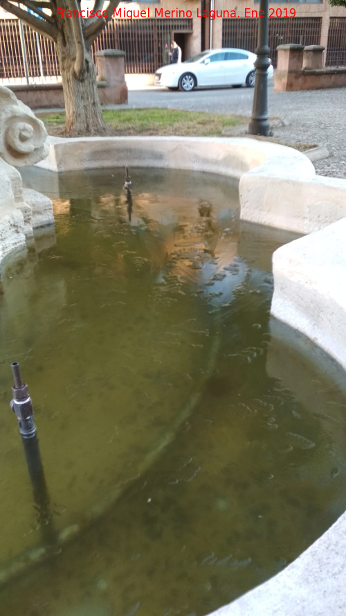 Fuente del Mercado - Fuente del Mercado. Agua congelada