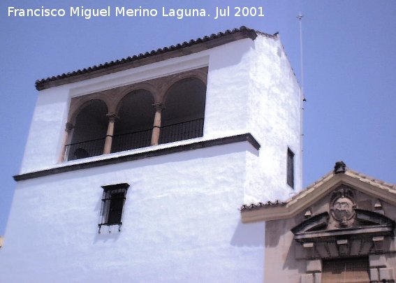 Palacio de los Crdenas - Palacio de los Crdenas. 