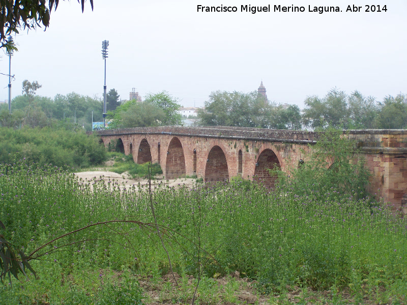 Puente Romano - Puente Romano. 