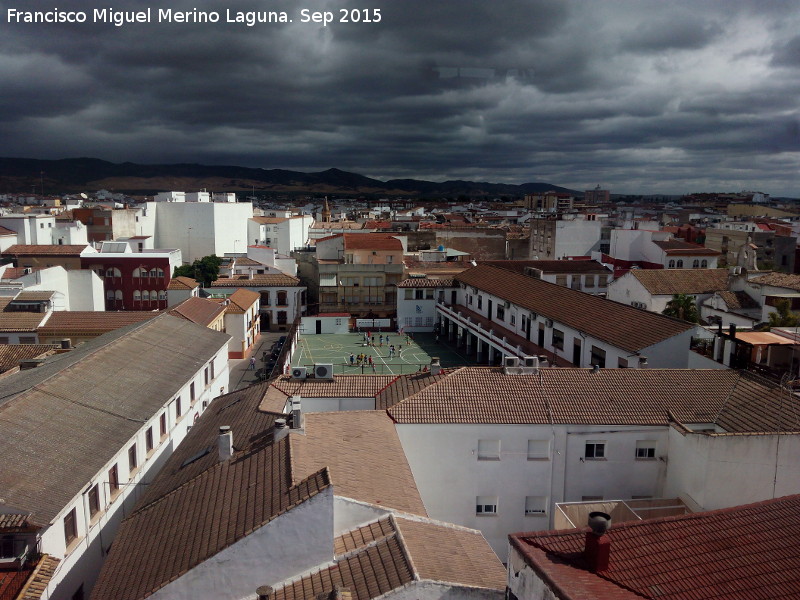 Torre del Reloj - Torre del Reloj. Vistas