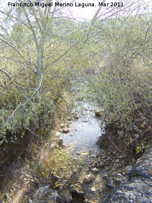 Arroyo Salado - Arroyo Salado. A su paso por el trmino de Martos