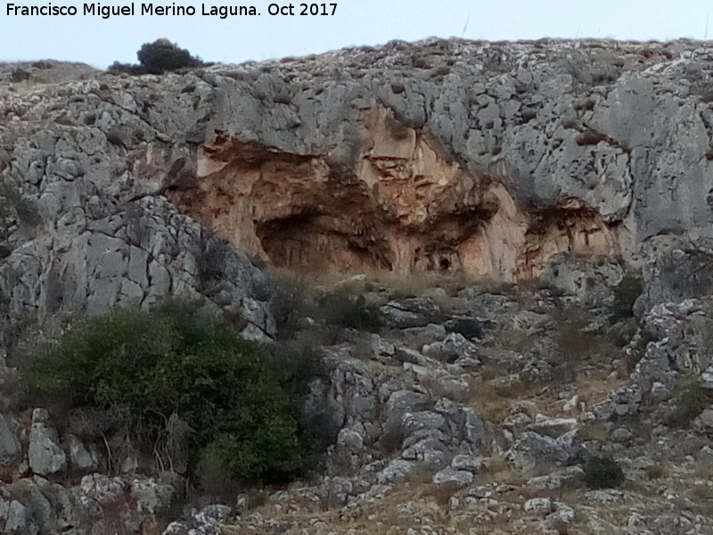 Pinturas rupestres de la Cueva de Limones - Pinturas rupestres de la Cueva de Limones. Abrigo