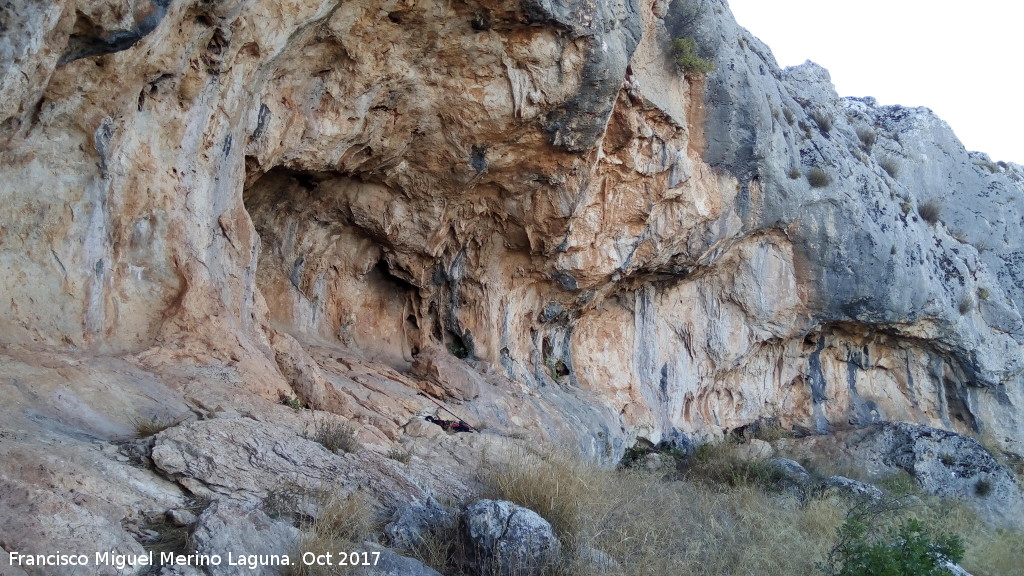 Pinturas rupestres de la Cueva de Limones - Pinturas rupestres de la Cueva de Limones. Abrigo