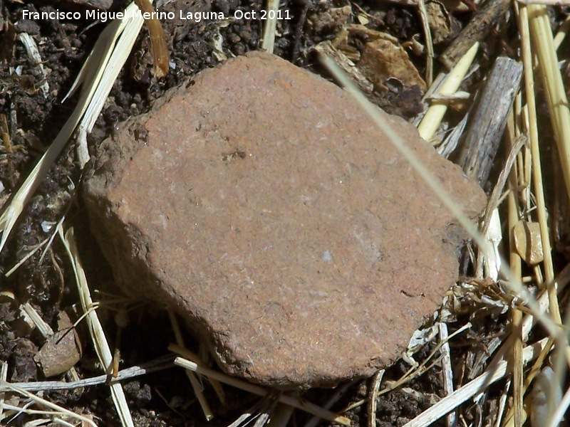 Yacimiento de La Mella - Yacimiento de La Mella. Restos ladera abajo