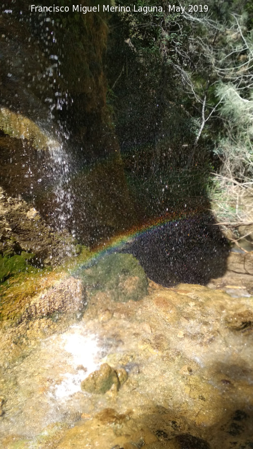 Arcoris - Arcoris. Cueva Cuarta de la Hueta - Orcera