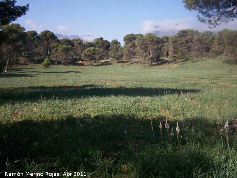 Llanos de Navalopos - Llanos de Navalopos. 