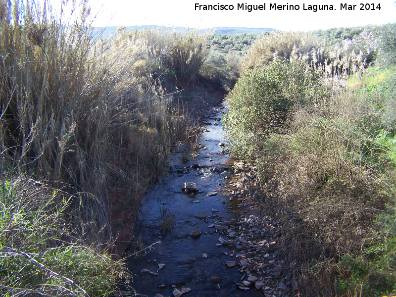 Arroyo de las Navas - Arroyo de las Navas. 