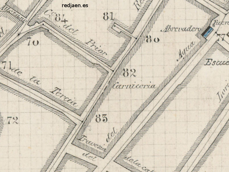 Carnicera Vieja - Carnicera Vieja. Plano topogrfico de 1894