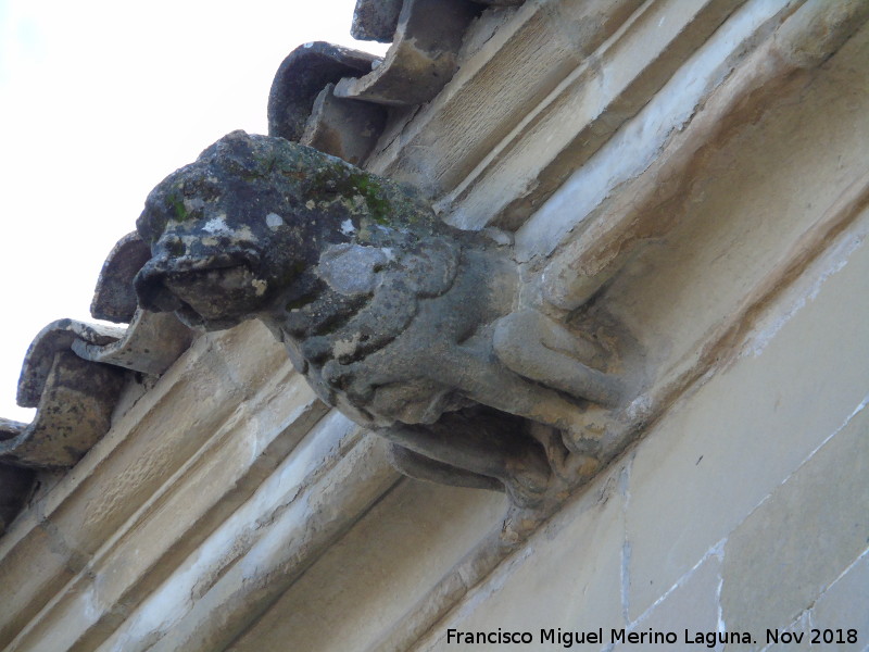 Palacio de los Salcedo - Palacio de los Salcedo. Grgola